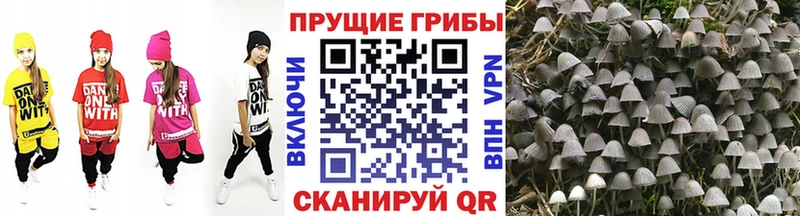 OMG вход  Усть-Катав  Галлюциногенные грибы Cubensis  купить наркотик 
